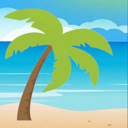 Flag Beach
